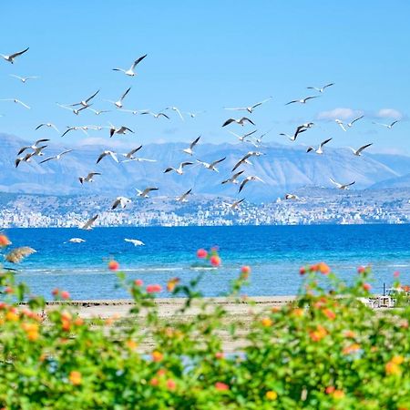 Nikos Kalamaki Corfu Апраос Экстерьер фото